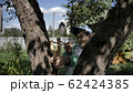 boy hides behind a tree and aims at someone with a slingshot 62424385