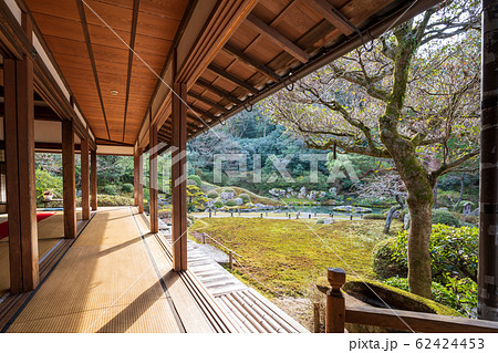 京都・青蓮院　華頂殿から庭園の眺め 62424453