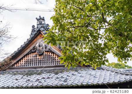 京都・青蓮院 宸殿の屋根 京都・青蓮院 宸殿の屋根 62425180