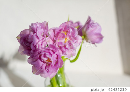 Spring tulips on the table at the daylight. 62425239