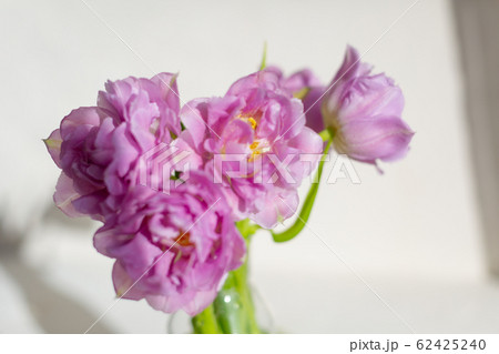 Spring tulips on the table at the daylight. 62425240