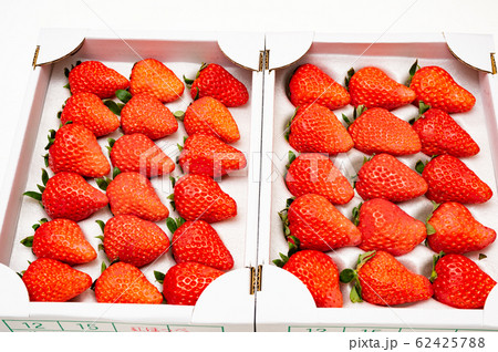 完熟箱詰めイチゴ 完熟箱詰めイチゴ 62425788