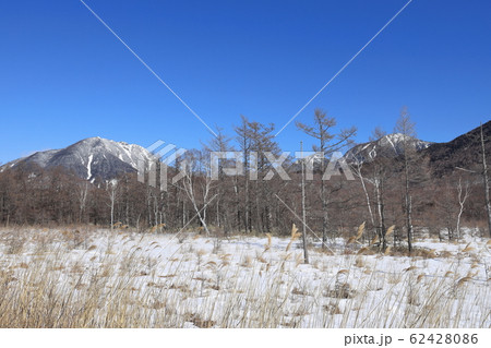 冬の日光戦場ヶ原から望む山並み 冬の日光戦場ヶ原から望む山並み 62428086