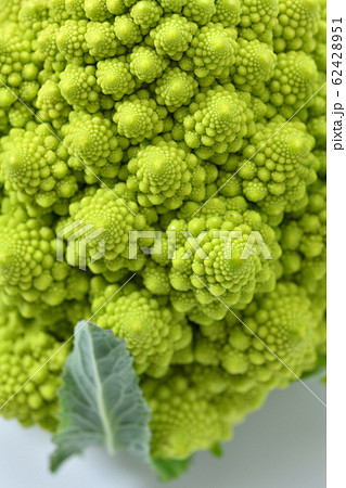 ロマネスコ(野菜)。食材、未加熱の状態です。カリフラワーの一種です。 ロマネスコ(野菜)。食材、未加熱の状態です。カリフラワーの一種です。 62428951