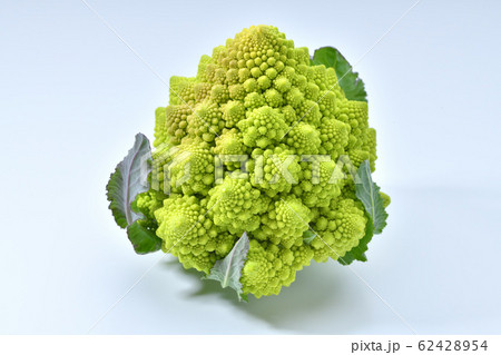 ロマネスコ(野菜)。食材、未加熱の状態です。カリフラワーの一種です。 ロマネスコ(野菜)。食材、未加熱の状態です。カリフラワーの一種です。 62428954