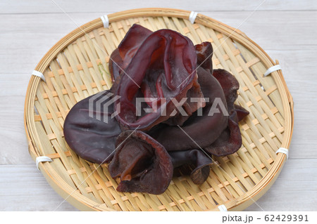 生のキクラゲ(きくらげ、木耳)。静岡県産、きのこの一種。 生のキクラゲ(きくらげ、木耳)。静岡県産、きのこの一種。 62429391