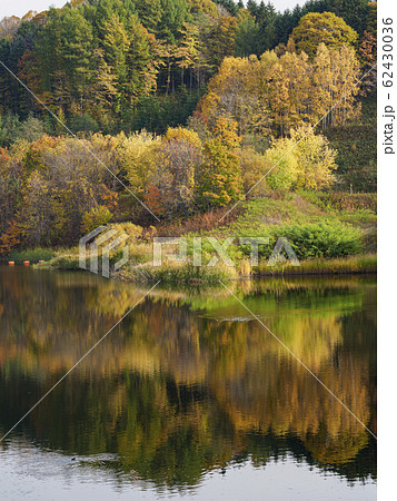 紅葉の山と栗山ダム　映り込む木々　縦構図 62430036
