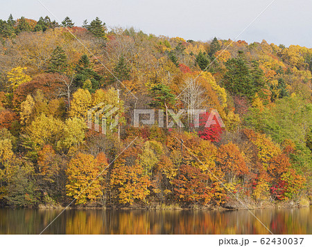 紅葉の山と湖面への映り込み 紅葉の山と湖面への映り込み 62430037