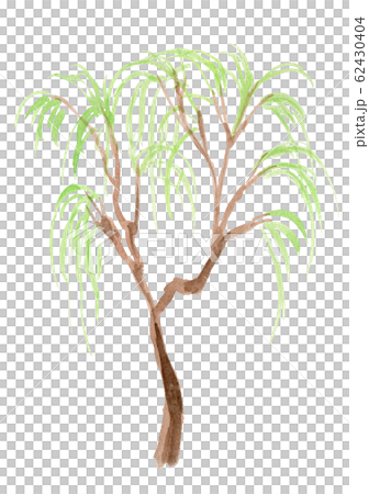 柳の木　水彩 62430404