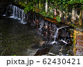 草木生い茂る水源 62430421