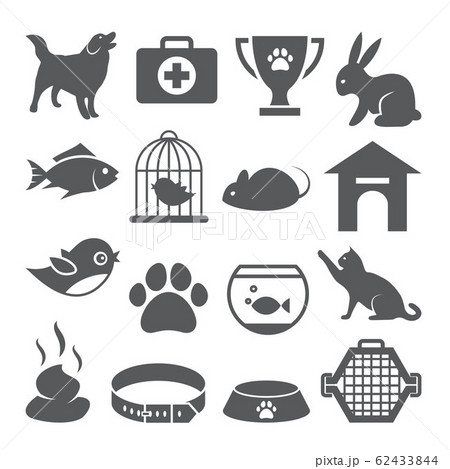 Pet shop icons set on white background 62433844