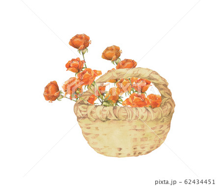 薔薇の花籠のイラスト素材