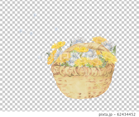 タンポポと綿毛の花籠 タンポポと綿毛の花籠 62434452