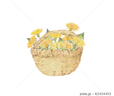 タンポポの花籠のイラスト素材