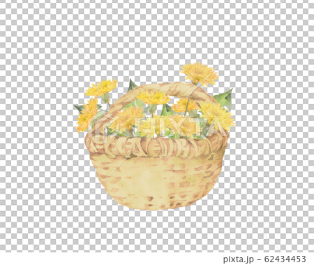 タンポポの花籠 62434453