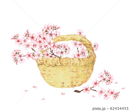 サクラの花籠 サクラの花籠 62434455