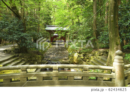 越後国一宮　彌彦神社 新潟県西蒲原郡弥彦村弥彦 62434625