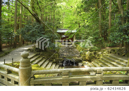越後国一宮　彌彦神社 新潟県西蒲原郡弥彦村弥彦 62434626
