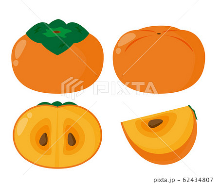 柿 甘柿 渋柿 フルーツ 果物のイラスト素材