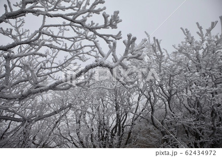 徳裕山 雪景色 目 62434972