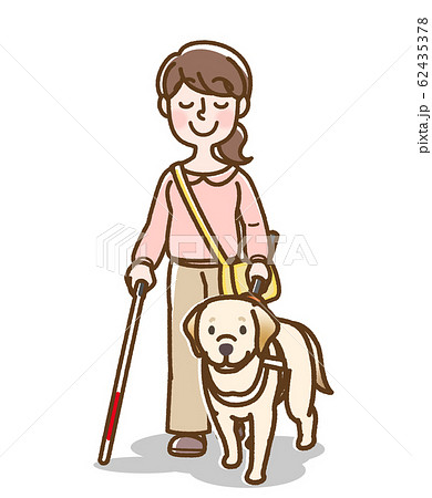 盲導犬 バーハンドル 女性 白杖ありのイラスト素材