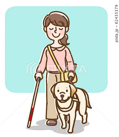 盲導犬 バーハンドル 女性 白杖あり 背景ありのイラスト素材