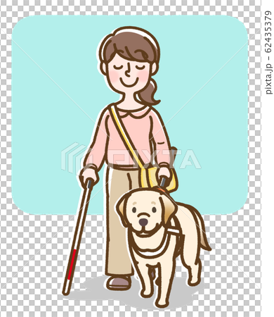 Guide dog, bar handle, female, white cane, background 62435379