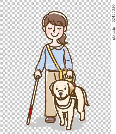 盲導犬　U字ハンドル　女性　白杖あり 62435380