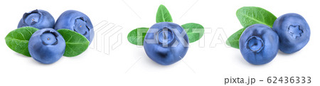 fresh blueberry with leaves isolated on white background closeup. Set or collection fresh blueberry with leaves isolated on white background closeup. Set or collection 62436333