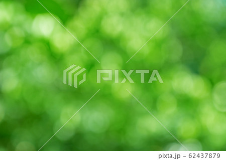 natural green bokeh abstract background,blurred natural green bokeh abstract background,blurred 62437879