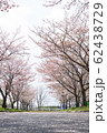 桜道 62438729