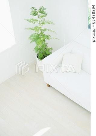 観葉植物とソファのあるインテリア 62438894
