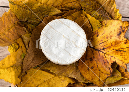 French Camembert cheese on autumn leaves French Camembert cheese on autumn leaves 62440152
