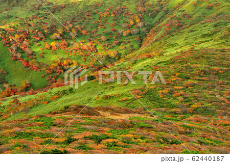 赤面山 赤面山 62440187