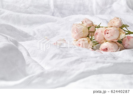 Roses flowers on crumpled sheets. Roses flowers on crumpled sheets. 62440287