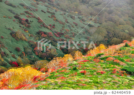 赤面山 赤面山 62440459