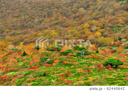 赤面山 赤面山 62440642