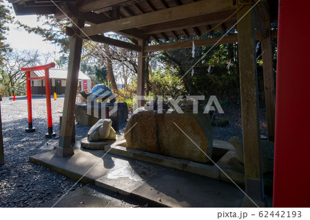 栃木県 亀岡八幡宮 栃木県 亀岡八幡宮 62442193