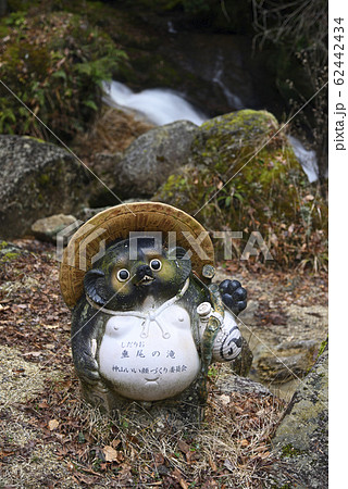 垂尾（しだりお）の滝（滋賀県甲賀市信楽町） 62442434