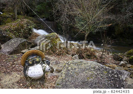 垂尾（しだりお）の滝（滋賀県甲賀市信楽町） 62442435
