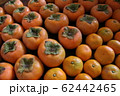 柿 62442465