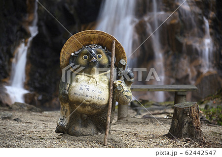 鶏鳴の滝　信楽焼のタヌキ（滋賀県甲賀市信楽町） 62442547