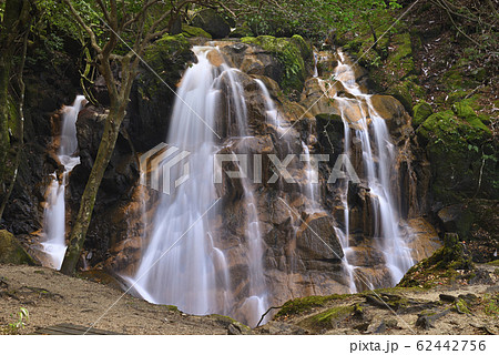 鶏鳴の滝(滋賀県甲賀市信楽町) 鶏鳴の滝(滋賀県甲賀市信楽町) 62442756