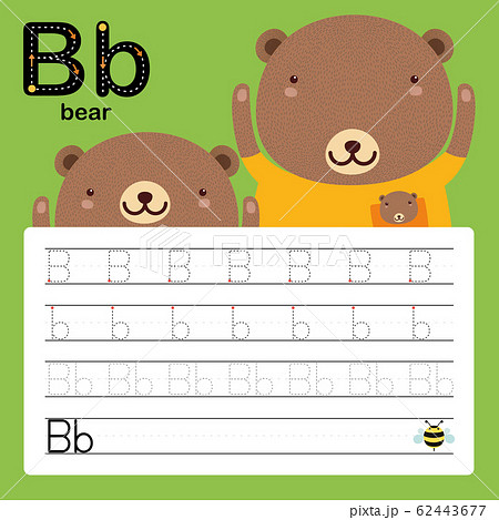 Alphabet tracing worksheet for preschool and kindergarten to improve basic writing skills, letter b, bear, vector, illustration  62443677