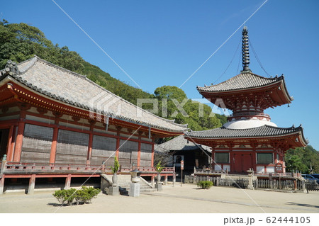 【中国三十三観音霊場】第九番　浄土寺の重要文化財阿弥陀堂と国宝多宝塔　広島県尾道市 62444105