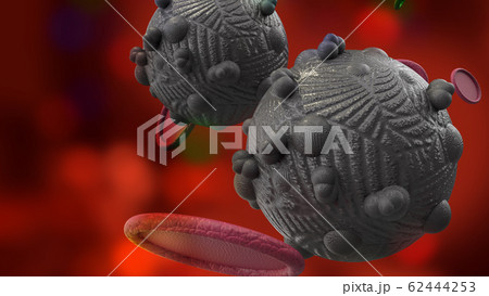 The virus in dark tone 3d rendering for  medicine  and  healthcare content. The virus in dark tone 3d rendering for  medicine  and  healthcare content. 62444253