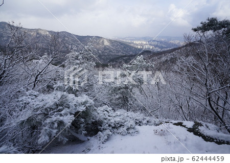 ボヒョンボン 雪景色 冬の木 62444459