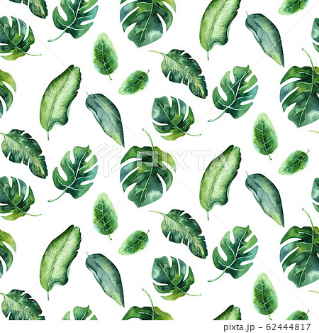 Seamless Watercolor Pattern Of Tropical Leaves のイラスト素材