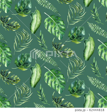 Seamless Watercolor Pattern Of Tropical Leaves のイラスト素材