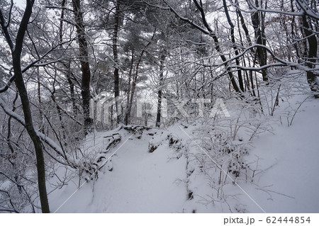 文化財 北漢山城 一本道 62444854